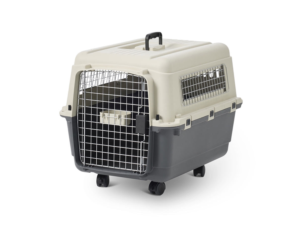 Plastic travel crate hot sale
